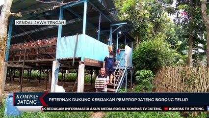 Peternak Dukung Kebijakan Pemprov Jateng Borong Telur