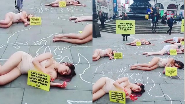 'Animal rights activists send a STRONG MESSAGE to meat, egg & dairy industries on World Vegan Day '