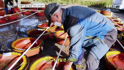 바닷가 사람들 - 갯벌이 품은 황금! 신안 낙지잡이_#001