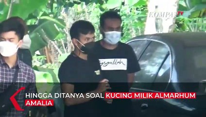 Alasan Yosep Ditanya Tentang Yoris Pernah Dirukiah hingga Kemana Kucing Milik Amalia