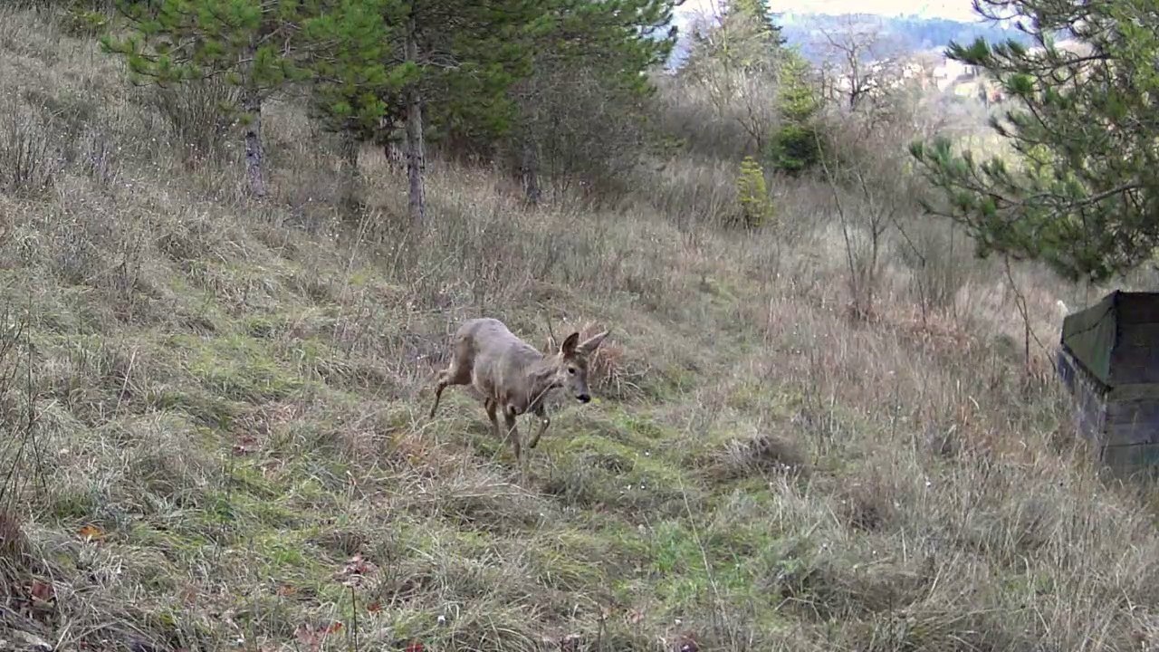 Février 2021, Drôme.