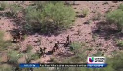 Disminuye el flujo de niños inmigrantes