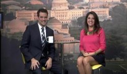 Una actividad familiar llena de insectos y tarántulas