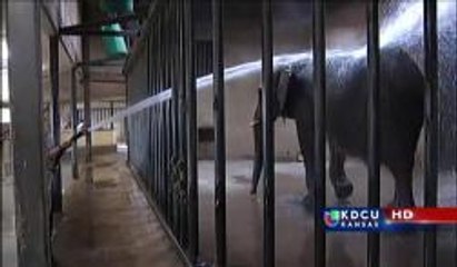 Aprueban fondos para granero de elefantes