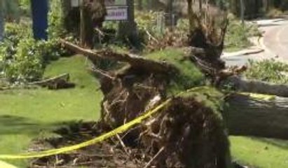 Deja estragos tormenta en San Diego