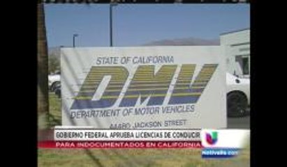 Autorizan diseños de licencia para indocumentados