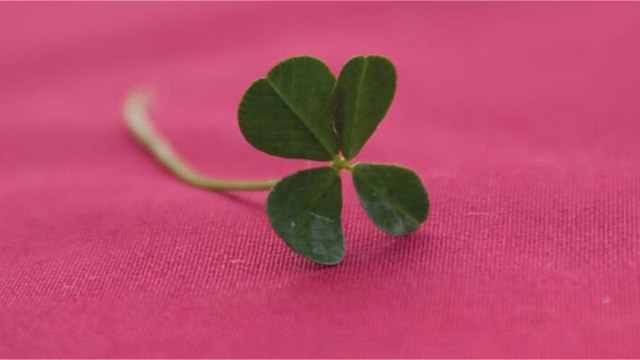 Il retrouve par hasard un ticket de loterie et gagne 20 millions de dollars