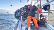 Brexit : les pêcheurs de Granville grand 