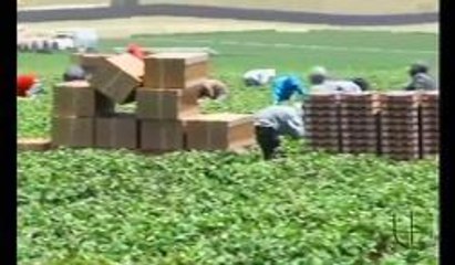 Como enfrentar la sequía