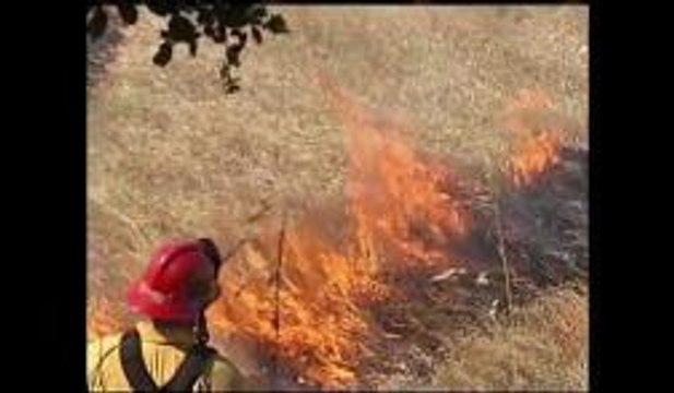 Las consecuencias por causar incendios
