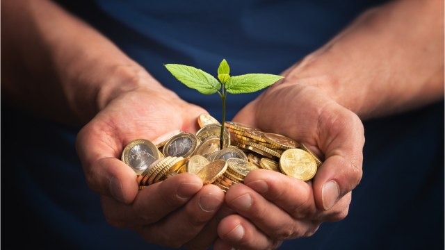 Voici les placements les plus sûrs pour commencer à épargner