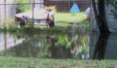 Inundaciones en Condado Volusia