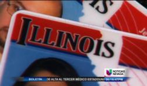 Descubren Red de Falsificadores de Licencias de Conducir