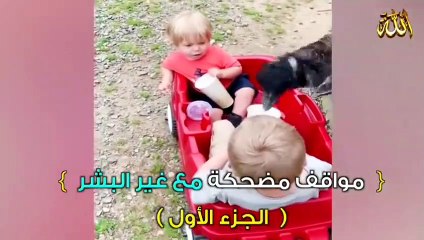 طرائف الحيوانات (الجزء الاول)