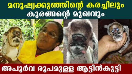 Lamb with face of an ape and cry of a human baby goes viral