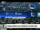 Venezuela participa en la XXVI Conferencia sobre el Cambio Climático