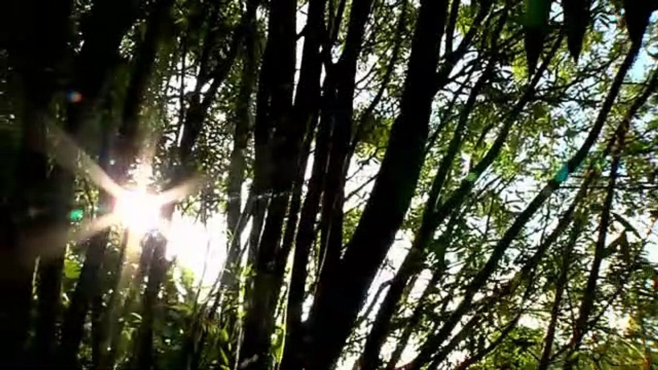 Deep meditation music video sleeping Music song and relaxing music