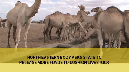 North Eastern body asks State to release more funds to cushion livestock