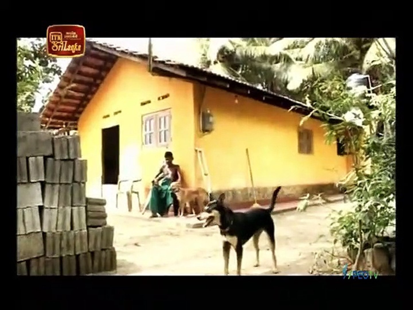 Atapattama 2021.11.10