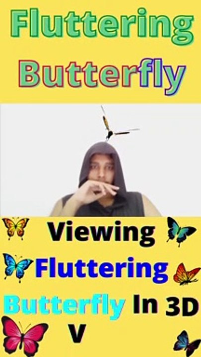 Viewing Fluttering Butterfly In 3D View