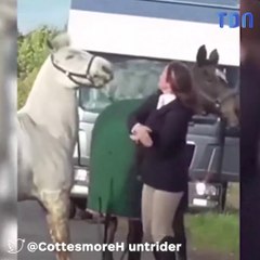 Les images choquantes d'une femme qui gifle son cheval