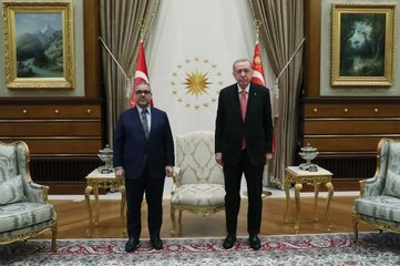 Cumhurbaşkanı Erdoğan, Libya Yüksek Devlet Konseyi Başkanı El-Meşri'yi kabul etti
