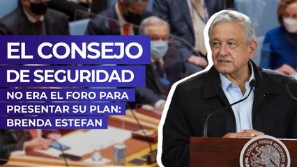 El Consejo de Seguridad no era el foro para presentar su plan: Brenda Estefan