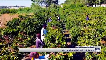 مصر وتنزانيا.. شراكة وتنمية وتعمير وبناء