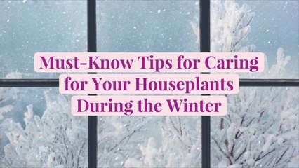 9 Must-Know Tips for Caring for Your Houseplants During the Winter