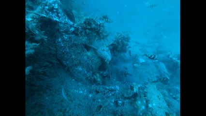 Un sous-marin allemand de la Grande guerre identifié au large du littoral belge