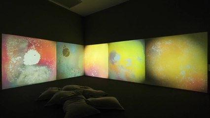 Radical Landscapes Tate Liverpool 101121