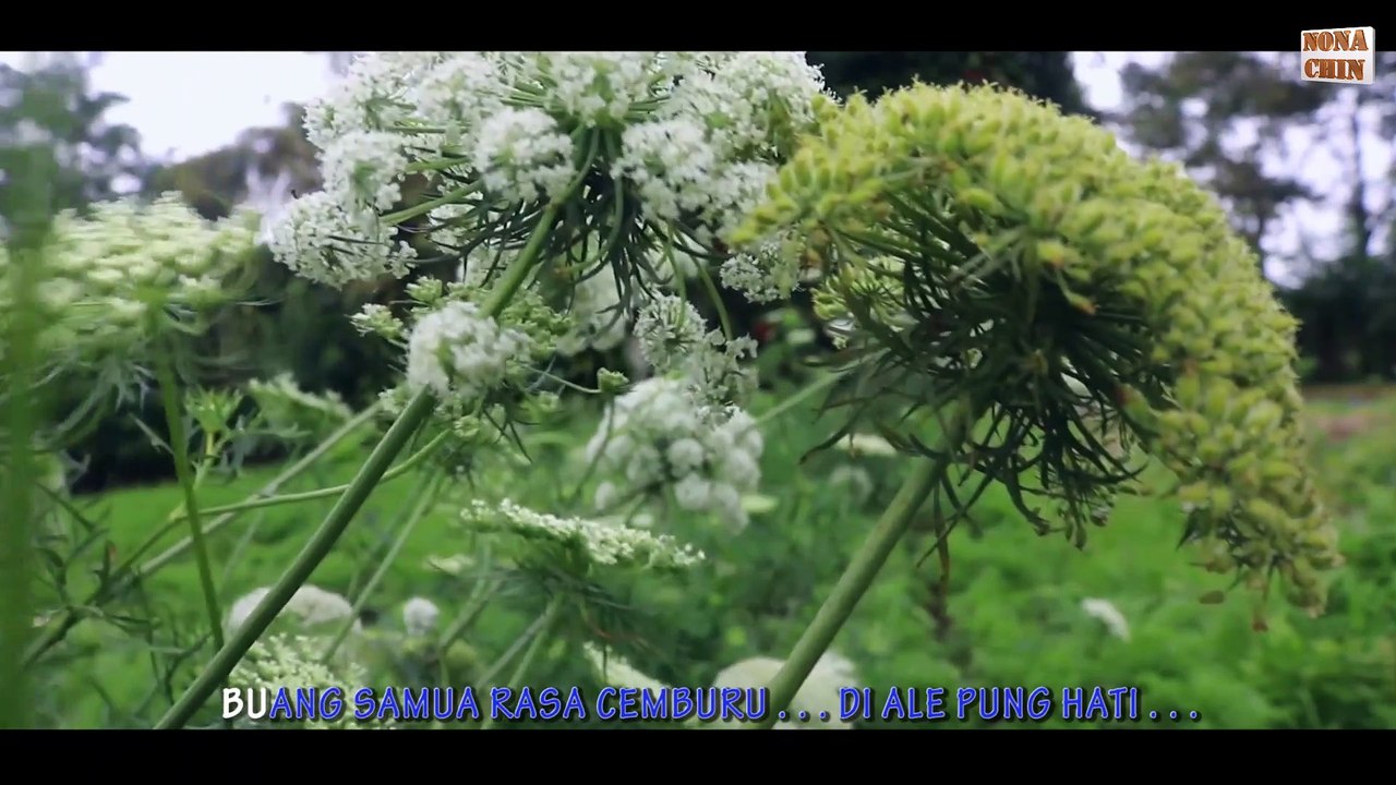 TEMBANG KENANGAN AMBON - JANG SALAH SANGKAH