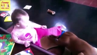 TRY NOT TO LAUGH. Funny Pets vs Babies.
