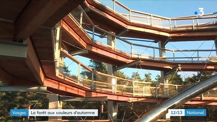 Vosges : à la découverte du "Chemin des Cimes"