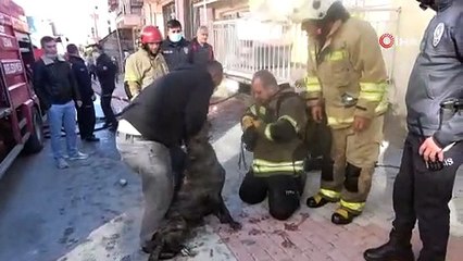 Uşak'ta evi yanan adam, köpeğini kurtarmak için dumanların arasına böyle daldı