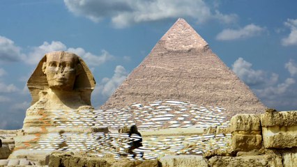 These Tree Rings Could Be The Key To Updating Ancient World Timelines