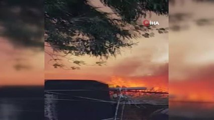 Son dakika haberi | Antalya'daki havadan ve karadan müdahalenin olduğu sazlık yangınında çilek seraları zarar gördü