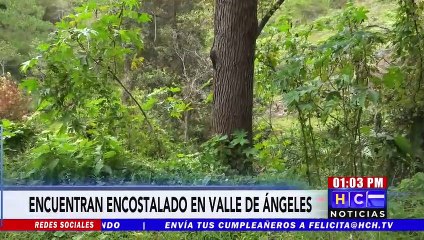 Encostalado y semi-decapitado encuentra cuerpo sin vida de una persona en Valle de Ángeles