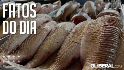 Pará está há 13 dias sem casos de doença da Urina Preta