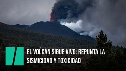El volcán sigue vivo: repunta la sismicidad y la toxicidad en La Palma