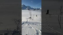 Otter Slides Down Snowy Hill