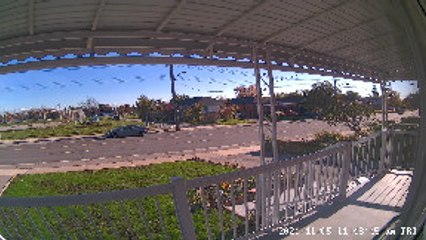 Dog Gets Hit by a Car and Survives