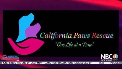 NBCares Silver Linings: California Paws Rescue