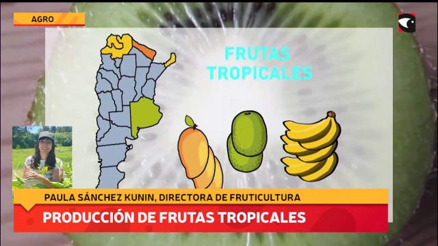 Producción de frutas tropicales