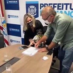 Cadelinha Many 'assina' projeto de lei sobre a leishmaniose em Floripa