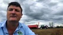 NSW farmers concerned as deluge threatens crop harvest