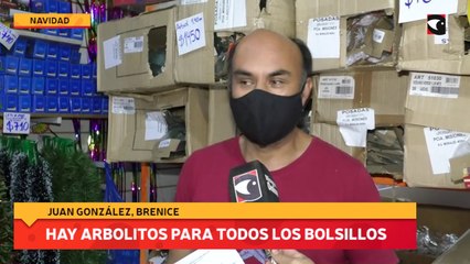 Hay arbolitos para todos los bolsillos