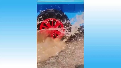 Top Funny Cat Videos of The Weekly - TRY NOT TO LAUGH