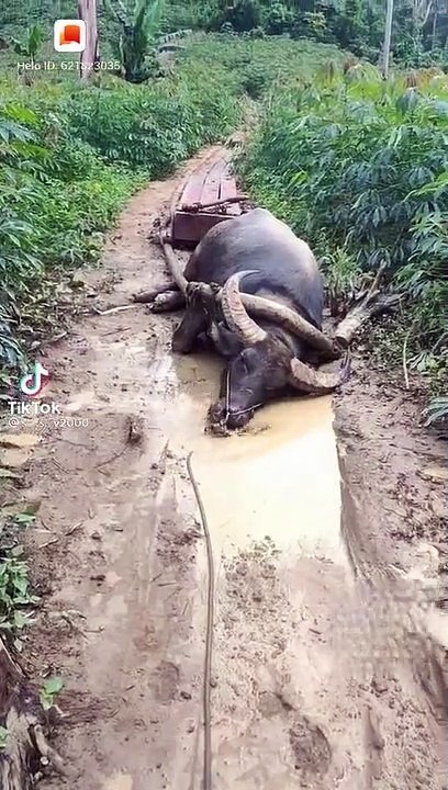 E mệt lắm cho em nghỉ  tí