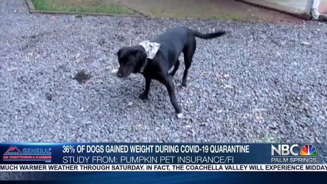 KMIR NEWS 6pm_A 060221